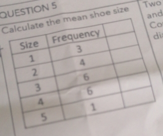 Two 
Cn shoe size and 
o 
i