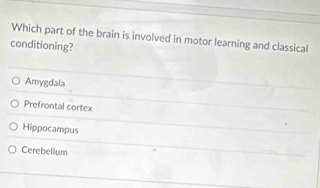 Which part of the brain is involved in motor learning and classical
conditioning?
Amygdala
Prefrontal cortex
Hippocampus
Cerebellum