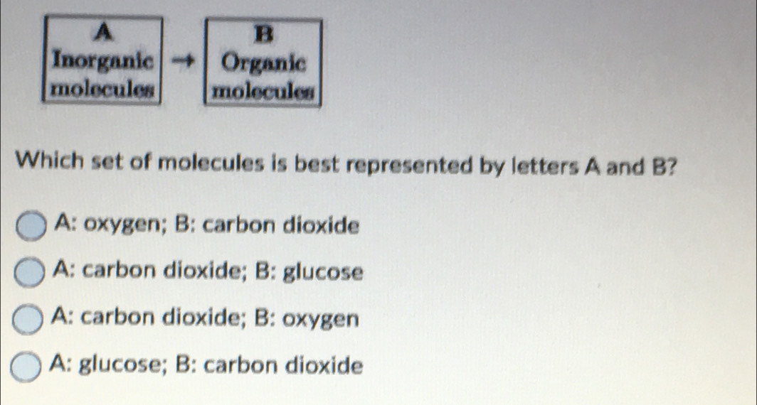 A
B
Inorganic Organic
molecules molecules
Which set of molecules is best represented by letters A and B?
A: oxygen; B: carbon dioxide
A: carbon dioxide; B: glucose
A: carbon dioxide; B: oxygen
A: glucose; B: carbon dioxide