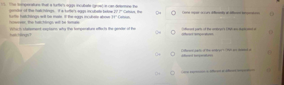 The temperature that a turtle's eggs incubate (grow) in can determine the
gender of the hatchlings. If a turtle's eggs incubate below 27.7° Celsius Celsius, the Gene repair occurs differently at different temperatures.
turtle hatchlings will be male. If the eggs incubate above 31°
however, the hatchlings will be female.
Which statement explains why the temperature effects the gender of the Different parts of the embryo's DNA are duplicated a
hatchlings? different temperatures
Different parts of the embryo's DNA are deleted a
different temperatures.
Gone expression is different at different temperatons
