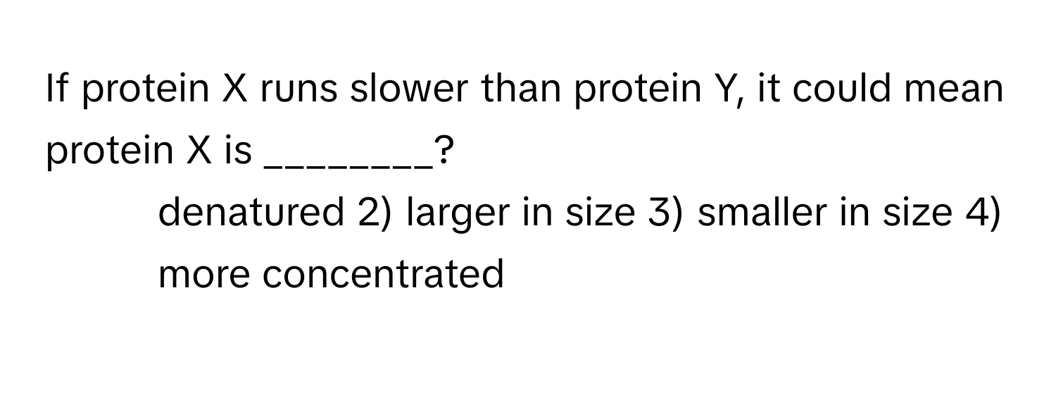 If protein X runs slower than protein Y, it could mean protein X is ________?

1) denatured 2) larger in size 3) smaller in size 4) more concentrated