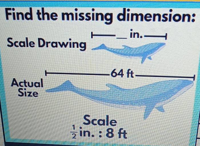 Find the missing dimension: