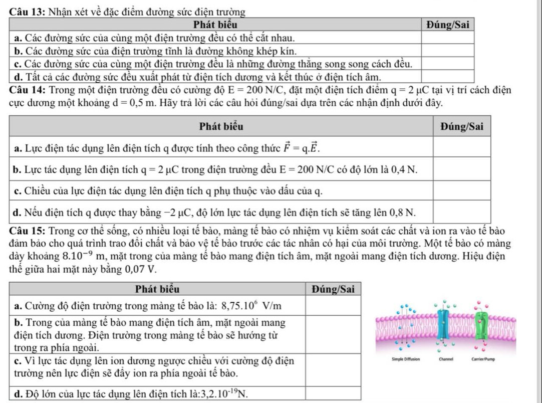 Trong một điện trường đều có cường độ E=200N/C , đặt một điện tích điểm q=2mu C tại vị trí cách điện
cực dương một khoảng d=0,5m. Hãy trả lời các câu hỏi đúng/sai dựa trên các nhận định dưới đây.
Câu 15: Trong cơ thể sống, có nhiều loại tế bào, màng tế bào có nhiệm vụ kiểm soát các chất và ion ra vào tế bào
đảm bảo cho quá trình trao đồi chất và bảo vệ tế bào trước các tác nhân có hại của môi trường. Một tế bào có màng
dày khoảng 8.10^(-9)m 4, mặt trong của màng tế bào mang điện tích âm, mặt ngoài mang điện tích dương. Hiệu điện
thế giữa hai mặt này bằng 0,07 V.