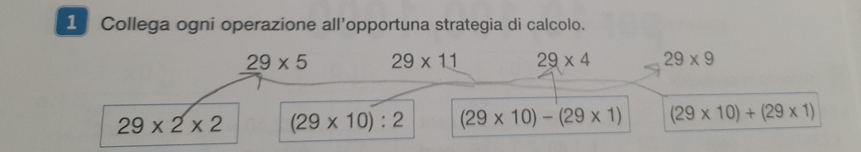 Collega ogni operazione all’opportuna strategia di calcolo.
29* 5
29* 11
29* 4
29* 9
29* 2* 2
(29* 10):2
(29* 10)-(29* 1) (29* 10)+(29* 1)