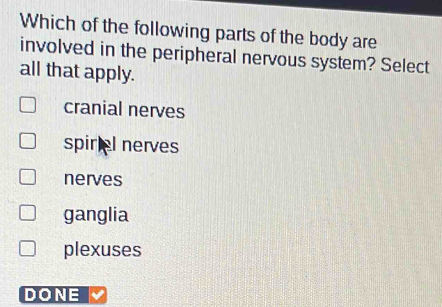 Which of the following parts of the body are
involved in the peripheral nervous system? Select
all that apply.
cranial nerves
spiriel nerves
nerves
ganglia
plexuses
DONE