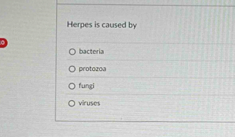 Herpes is caused by
bacteria
protozoa
fungi
viruses