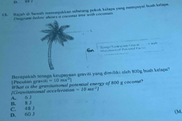 D. 88 J
13. Rajah di bawah menunjukkan sebatang pokok kelapa yang mempuyai buah kelapa.
Diagram below shows a coconut tree with coconuts.
Gm Knaga Keupaya * = mgh
B l F a 
Berapakah tenaga keupayaan graviti yang dimiliki olch 800g buah kelapa?
[Pecutan graviti =10ms^(-2)]
What is the gravitational potential energy of 800 g coconut?
[Gravitational acceleration =10ms^(-1)1
A. 6 J
B. 8 J
C. 48 J
D. 60 J
(M