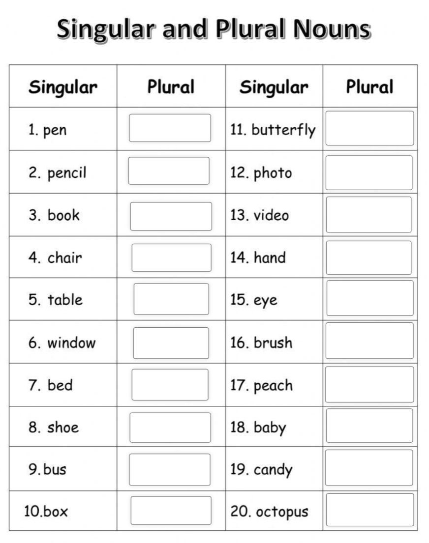 Singular and Plural Nouns 
1