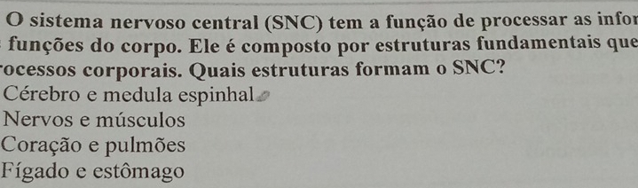 sistema nervoso central (SNC) tem a função de processar as infor
funções do corpo. Ele é composto por estruturas fundamentais que
rocessos corporais. Quais estruturas formam o SNC?
Cérebro e medula espinhal
Nervos e músculos
Coração e pulmões
Fígado e estômago