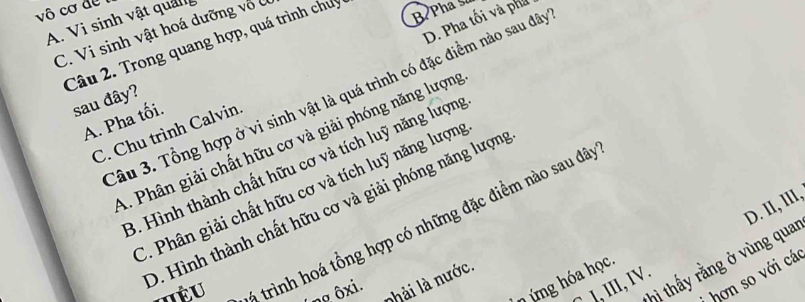 vô cơ de 1
A. Vi sinh vật quản
C. Vi sinh vật hoá dưỡng vô ở
Câu 2. Trong quang hợp, quá trình chuy
B Pha Su
D. Pha tối và phá
Câu 3. Tổng hợp ở vi sinh vật là quá trình có đặc điểm nào sau đâã
sau đây?
A. Pha tối.
C. Chu trình Calvin.
A. Phân giải chất hữu cơ và giải phóng năng lượng
3. Hình thành chất hữu cơ và tích luỹ năng lượng
C. Phân giải chất hữu cơ và tích luỹ năng lượng
D. II, III,
D. Hình thành chất hữu cơ và giải phóng năng lượn
mÊu 4 trình hoá tổng hợp có những đặc điểm nào sau đây
hì thấy rằng ở vùng qua
* hơn so với cá
n ng óa học
nhải là nước.
` I, III, IV .
ng ôxi.