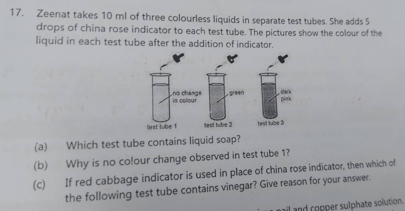 Solved: Zeenat takes 10 ml of three colourless liquids in separate test ...