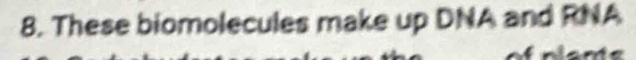 These biomolecules make up DNA and RNA