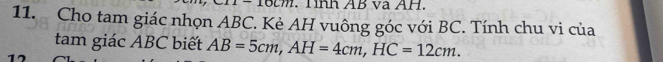 Tình AB và AH. 
11. Cho tam giác nhọn ABC. Kè AH vuông góc với BC. Tính chu vi của 
tam giác ABC biết AB=5cm, AH=4cm, HC=12cm.