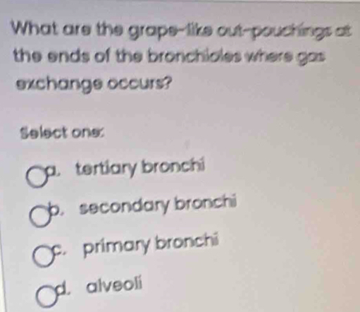 What are the grape-like out-pouchings at
the ends of the bronchioles where gas .
exchange occurs?
Select ons:
a tertiary bronchi
b. secondary bronchi
c. primary bronchi
d. alveoli