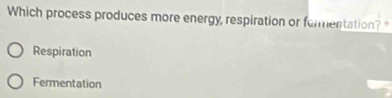 Which process produces more energy, respiration or fermentation?
Respiration
Fermentation