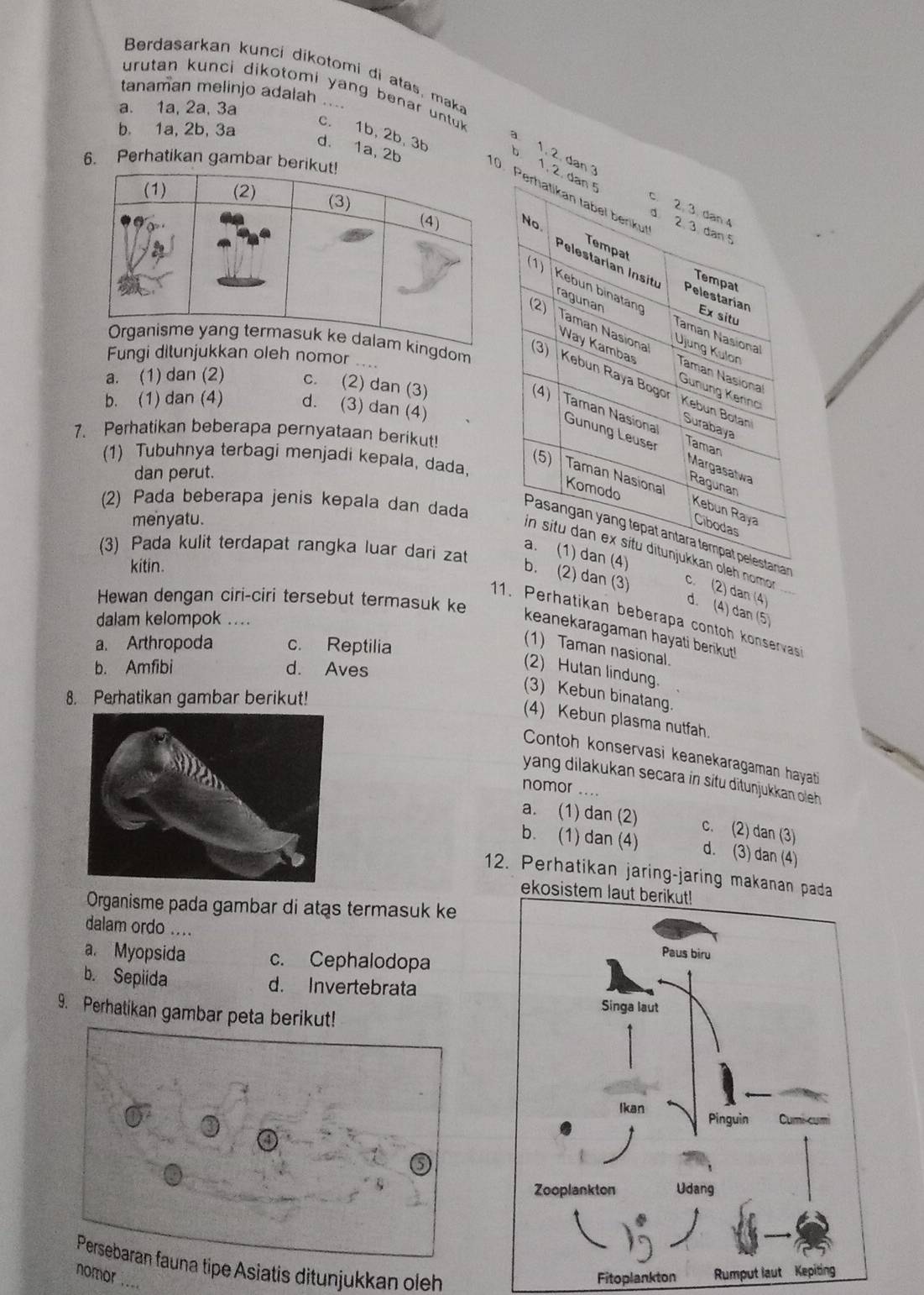 Berdasarkan kunci dikotomi di atas, maka
urutan kunci dikotomi yang benar untuk.
tanaman melinjo adalah ....
a. 1a, 2a, 3a
b. 1a, 2b, 3a
c. 1b,2b, 3b
d. 1a, 2b
a 1, 2, dan 
6. Perhatikan gambar ber
b. 1, 
0 
dom
Fungi ditunjukkaeh nomor . .
a. (1) dan (2) c. (2) dan (3)
b. (1) dan (4) d. (3) dan (4)
7. Perhatikan beberapa pernyataan berikut!
(1) Tubuhnya terbagi menjadi kepala, dada,
dan perut.
(2) Pada beberapa jenis kepala dan dada
menyatu.
(3) Pada kulit terdapat rangka luar dari zat
nomor
kitin
dan (3) c. (2) dan (4) d. (4) dan (5)
Hewan dengan ciri-ciri tersebut termasuk ke
dalam kelompok ..
11. Perhatikan beberapa contoh konservasi
keanekaragaman hayati berikut! !
a. Arthropoda c. Reptilia
(1) Taman nasional
b. Amfibi d. Aves
(2) Hutan lindung.
8. Perhatikan gambar berikut!
(3) Kebun binatang.
(4) Kebun plasma nutfah.
Contoh konservasi keanekaragaman hayati
yang dilakukan secara in situ ditunjukkan oleh.
nomor ....
a. (1) dan (2) c. (2) dan (3)
b. (1) dan (4) d. (3) dan (4)
12. Perhatikan jaring-jaring makanan p
ekosis
Organisme pada gambar di atas termasuk ke
dalam ordo ....
a. Myopsida c. Cephalodopa
b. Sepiida d. Invertebrata
9. Perhatikan gambar peta be
e Asiatis ditunjukkan oleh
nomor_ Rumpu
Fitoplankton