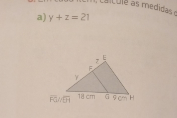 edida  o
a) y+z=21