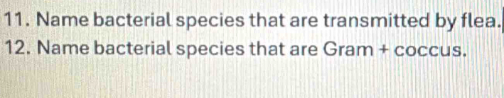 Name bacterial species that are transmitted by flea. 
12. Name bacterial species that are Gram + coccus.