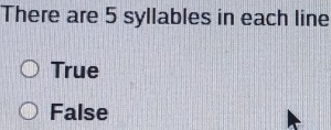 There are 5 syllables in each line
True
False