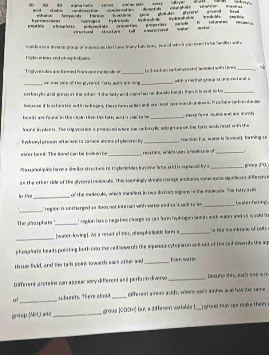 20 30 3D alpha helix amine amino acid away bilayer blüret Bokas carboxylic
acid chains condensation condensation dipeptide disulphide emulsión enzómes
ethanol fattyacids  fibrous  functions gene  globular glycerol ground head
hydrocarbons hydrogen   hydrolysis hydrophilic hydrophobic insoluble peptide
sequence
peptide phosphate polypeptide properties properties purple R saturated water
structural structure tail unsaturated water
Lipids are a diverse group of molecules that have many functions, two of which you need to be familiar with;
triglycerides and phospholipids.
Triglycerides are formed from one molecule of _(a 3-carbon carbohydrate) bonded with three_
_on one side of the glycerol. Fatty acids are long_ with a methyl group at one end and a
carboxylic acid group at the other. If the fatty acid chain has no double bonds then it is said to be_
because it is saturated with hydrogen; these form solids and are most common in animals. If carbon-carbon double
bonds are found in the chain then the fatty acid is said to be _ these form liquids and are mostly 
found in plants. The triglyceride is produced when the carboxylic acid group on the fatty acids react with the
hydroxyl groups attached to carbon atoms of glycerol by_ reaction (l.e. water is formed), forming an
ester bond. The bond can be broken by _reaction, which uses a molecule of_
Phospholipids have a similar structure to triglycerides but one fatty acid is replaced by a_ group (PO.)
on the other side of the glycerol molecule. This seemingly simple change produces some quite significant difference
in the_ of the molecule, which manifest in two distinct regions in the molecule. The fatty acid
_
1 ' region is uncharged so does not interact with water and so is said to be _(water-hating)
The phosphate _' region has a negative charge so can form hydrogen bonds with water and so is said to 
_
(water-loving). As a result of this, phospholipids form a _in the membrane of cells  
phosphate heads pointing both into the cell towards the aqueous cytoplasm and out of the cell towards the aq
tissue fluid, and the tails point towards each other and _from water.
Different proteins can appear very different and perform diverse _. Despite this, each one is m
of _subunits. There about _different amino acids, where each amino acid has the same
group (NH.) and _group (COOH) but a different variable (_ ) group that can m ake them