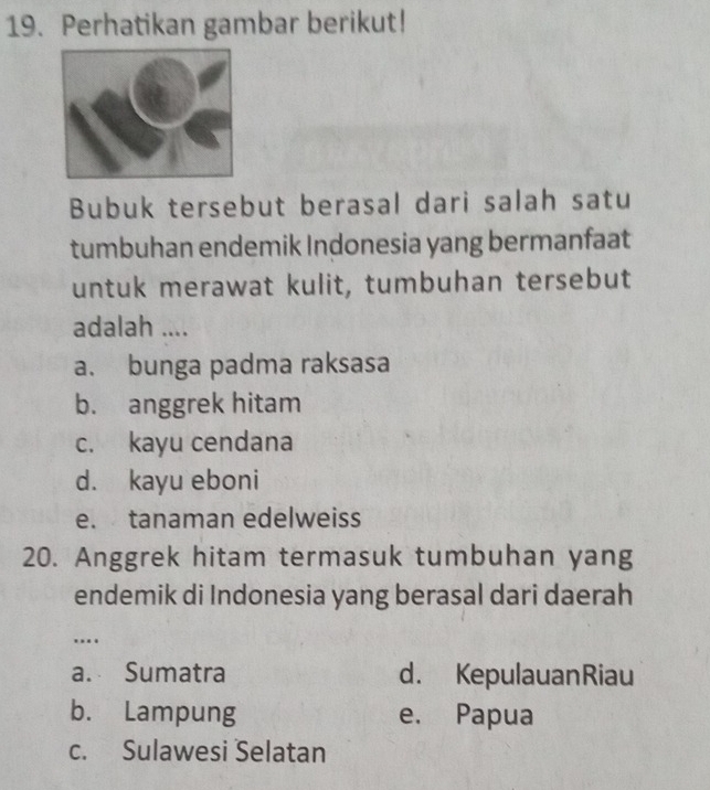 Perhatikan gambar berikut!
Bubuk tersebut berasal dari salah satu
tumbuhan endemik Indonesia yang bermanfaat
untuk merawat kulit, tumbuhan tersebut
adalah ....
a. bunga padma raksasa
b. anggrek hitam
c. kayu cendana
d. kayu eboni
e. tanaman edelweiss
20. Anggrek hitam termasuk tumbuhan yang
endemik di Indonesia yang berasal dari daerah
…
a. Sumatra d. KepulauanRiau
b. Lampung e. Papua
c. Sulawesi Selatan