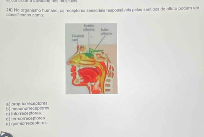 contrólar a atividade dos musculos.
20) No organismo humano, os receptores sensoriais responsáveis pelos sentidos do olfato podem ser
classificados como:
a) propriorreceptores.
b) mecanorreceptores.
c) fotorreceptores.
d) termorreceptores
e) quimiorreceptores.