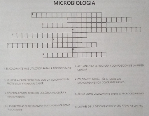 MICROBIOLOGIA 
1. El cOLORANTE MAS UtiLizADO PARA La tInciOn SIMpLE 2. ACTUAn En la ESTrUCTUIRa y composición de la pAreD 
CELULAR 
3. SE LLEVA a CABO CUBRIENDO CON UN COLORANTE UN 4. COLORANTE INICIAL TINE A TODOS LOS 
FROTÍS SECO y FuAdo al Calór MICROORGANIsmOS, COLORANTE BÁsicO 
5. COlOREA FONdo, DEJANDO la CéLULA INCOlORA y 6. ACTUA COMO DECOLORANTE SOBRE EL MICROORGANISMO 
TRANSPARENTE 
7. LAS BACTERIAS SE DIFERENCIAN TANTO QUIMICA COMO 9. Después de la decoloración se ven de color violeta 
FISICAMENTE