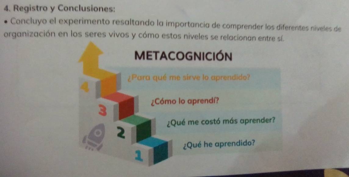 Registro y Conclusiones: 
Concluyo el experimento resaltando la importancía de comprender los diferentes níveles de 
organización en los seres vivos y cómo estos niveles se relacionan entre sí.