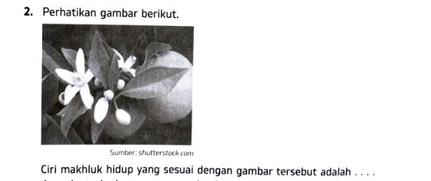 Perhatikan gambar berikut. 
Sumber: shutterstock.com 
Ciri makhluk hidup yang sesuai dengan gambar tersebut adalah . . . .