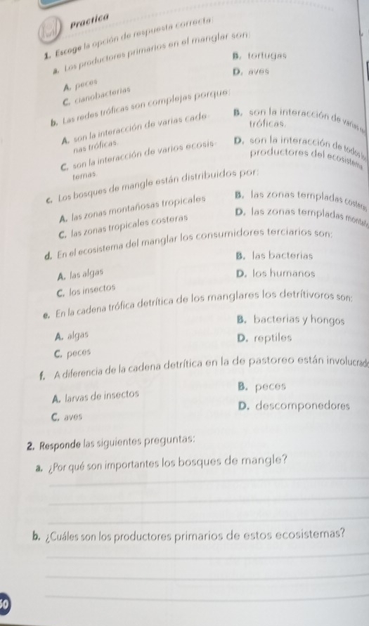 Practica
1. Escege la opción de respuesta correcta
. Los productores primarios en el manglar son
B. tortugas
D. aves
A. peces
C. cianobacterias
b. Las redes tróficas son complejas porque
tróficas.
A son la interacción de varías cade Be son la interacción de vañas la
nas tróficas.
C. son la interacción de varios ecosis
D. son la interacción de todos la
productores del ecosisten 
temas
Los bosques de mangle están distribuidos por:
As las zonas montañosas tropicales B。 las zonas templadas coster
C. las zonas tropicales costeras
D. las zonas templadas mónitals
d. En el ecosistema del manglar los consumidores terciarios son:
B. las bacterias
A. las algas D. los humanos
C. los insectos
. En la cadena trófica detrítica de los manglares los detrítivoros son:
B. bacterias y hongos
A. algas D. reptiles
C. peces
A diferencia de la cadena detrítica en la de pastoreo están involucrada
B. peces
A. larvas de insectos
D. descomponedores
C. aves
2. Responde las siguientes preguntas:
_
¿Por qué son importantes los bosques de mangle?
_
_
a ¿Cuáles son los productores primarios de estos ecosistemas?
_
_
0
_