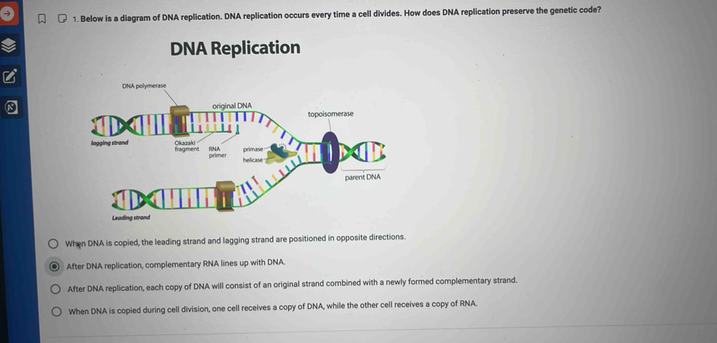 Solved: Below is a diagram of DNA replication. DNA replication occurs ...