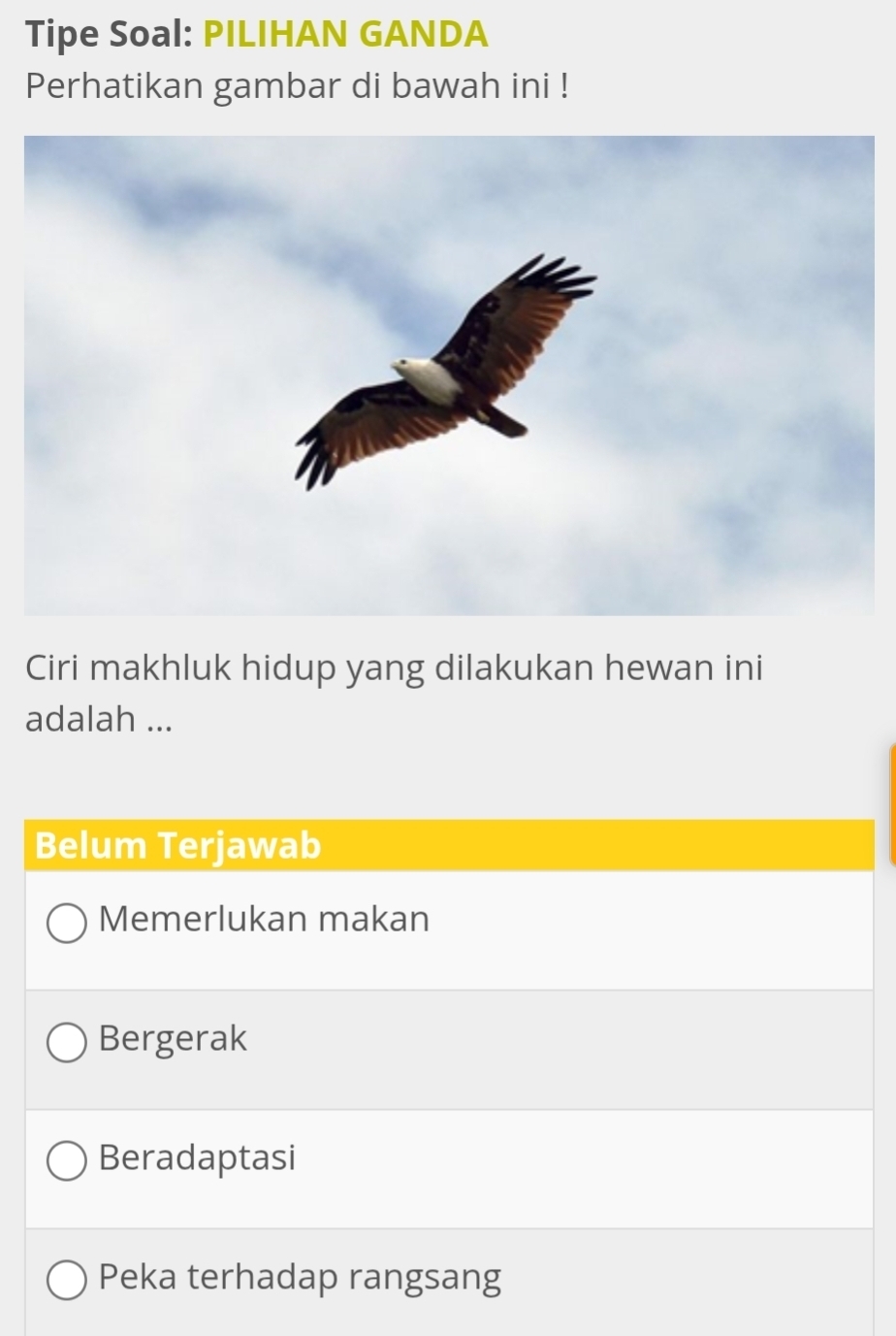 Tipe Soal: PILIHAN GANDA
Perhatikan gambar di bawah ini !
Ciri makhluk hidup yang dilakukan hewan ini
adalah ...
Belum Terjawab
Memerlukan makan
Bergerak
Beradaptasi
Peka terhadap rangsang