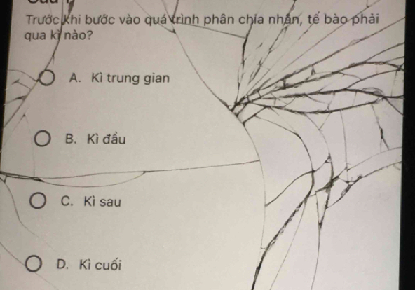 Trước khi bước vào quá trình phân chia nhân, tế bào phải
qua kì nào?
A. Kì trung gian
B. Kì đầu
C. Kì sau
D. Kì cuối