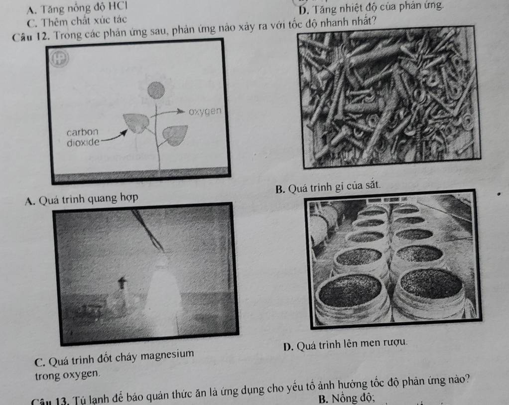 A. Tăng nổng độ HCl
C. Thêm chất xúc tác D. Tăng nhiệt độ của phản ứng
Câu . Trong các phản ứng sau, phản ứng nào xảy ra với tốc độ nhanh nhất?
A. Quá trình quang hợp B. Q
C. Quá trình đốt cháy magnesium D. Quá trình lên men rượu.
trong oxygen.
Câu 13. Tủ lạnh để bảo quản thức ăn là ứng dụng cho yếu tổ ảnh hưởng tốc độ phản ứng nào?
B. Nồng độ;