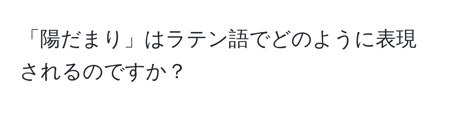 「陽だまり」はラテン語でどのように表現されるのですか？