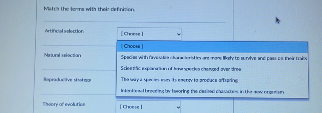 Match the terms with their defnition.