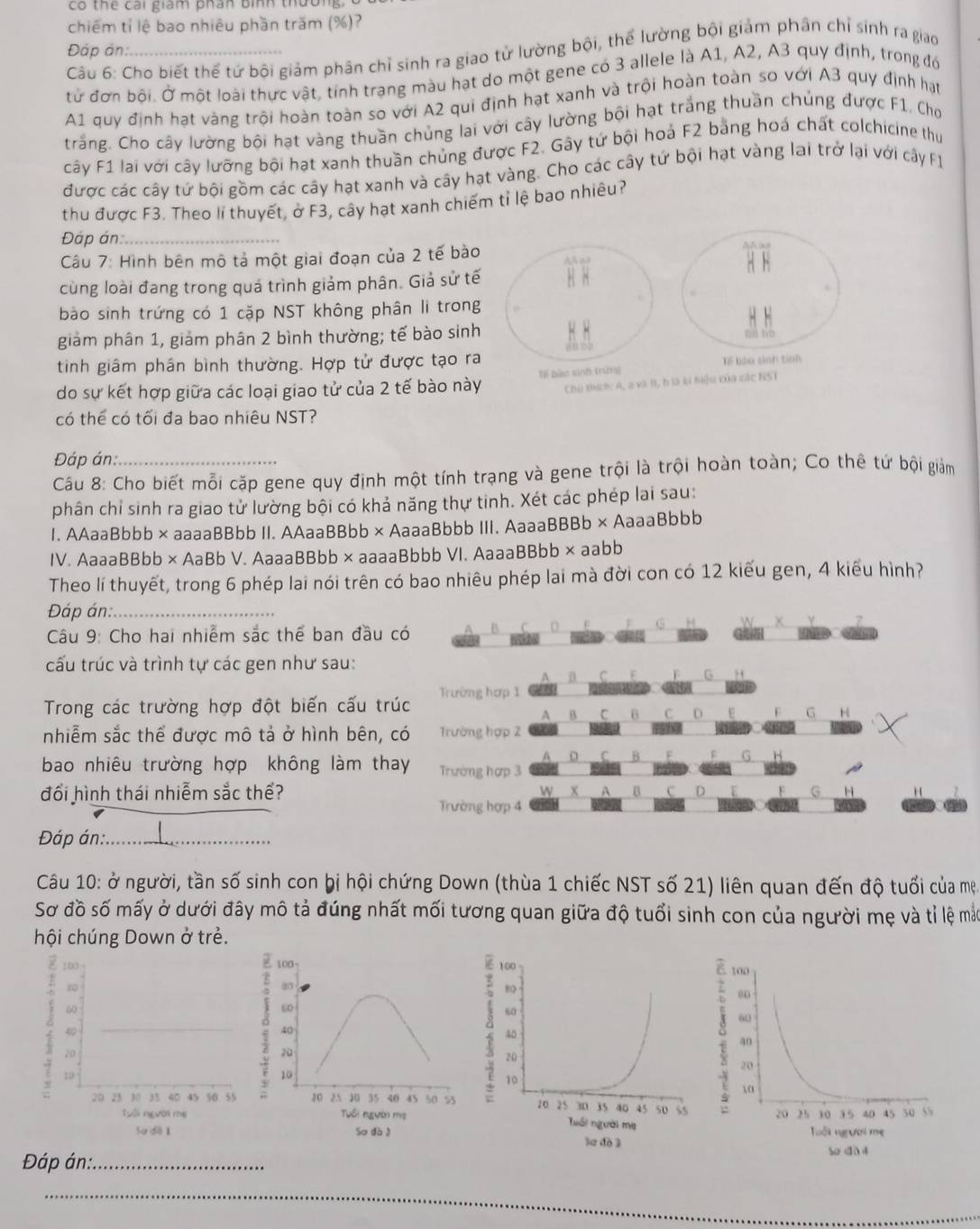 Có thể cai giám phân bình thười
chiếm tỉ lệ bao nhiêu phần trăm (%)?
Đáp ản:
Câu 6: Cho biết thể tứ bội giảm phân chỉ sinh ra giao tử lường bội, thể lường bội giảm phân chỉ sinh ra giao
tử đơn bội. Ở một loài thực vật, tính trạng màu hạt do một gene có 3 allele là A1, A2, A3 quy định, trong đó
A1 quy định hạt vàng trội hoàn toàn so với A2 qui định hạt xanh và trội hoàn toàn so với A3 quy định hạt
trắng. Cho cây lường bội hạt vàng thuần chủng lai với cây lường bội hạt trắng thuần chủng được F1. Cho
cây F1 lai với cây lưỡng bội hạt xanh thuần chủng được F2. Gây tứ bội hoà F2 bằng hoá chất colchicine thứ
được các cây tứ bội gồm các cây hạt xanh và cây hạt vàng. Cho các cây tứ bội hạt vàng lai trở lại với cây F1
thu được F3. Theo lí thuyết, ở F3, cây hạt xanh chiếm tỉ lệ bao nhiêu?
Đáp án_
Câu 7: Hình bên mô tả một giai đoạn của 2 tế bào
cùng loài đang trong quá trình giảm phân. Giả sử tế
bào sinh trứng có 1 cặp NST không phân li trong
giảm phân 1, giảm phân 2 bình thường; tế bào sinh
tinh giâm phân bình thường. Hợp tử được tạo ra
do sự kết hợp giữa các loại giao tử của 2 tế bào này
có thể có tối đa bao nhiệu NST?
Đáp án:
Câu 8: Cho biết mỗi cặp gene quy định một tính trạng và gene trội là trội hoàn toàn; Co thê tứ bội giảm
phân chỉ sinh ra giao tử lường bội có khả năng thự tinh. Xét các phép lai sau:
1. AAaaBbbb × aaaaBBbb II. AAaaBBbb × AaaaBbbb III. AaaaBBBb × AaaaBbbb
IV. AaaaBBbb × AaBb V. AaaaBBbb × aaaaBbbb VI. AaaaBBbb × aabb
Theo lí thuyết, trong 6 phép lai nói trên có bao nhiêu phép lai mà đời con có 12 kiểu gen, 4 kiểu hình?
Đáp án:_
Câu 9: Cho hai nhiễm sắc thể ban đầu có
cấu trúc và trình tự các gen như sau:
G
Trong các trường hợp đột biến cấu trúc Trường hợp 1
B C B C D G H
nhiễm sắc thể được mô tả ở hình bên, có Trường hợp 2
B
G
bao nhiêu trường hợp không làm thay Trường hợp 3
đối hình thái nhiễm sắc thể? x A B C D G H
Trường hợp 4
Đáp án:_
Câu 10: ở người, tần số sinh con bị hội chứng Down (thùa 1 chiếc NST số 21) liên quan đến độ tuổi của mẹ.
Sơ đồ số mấy ở dưới đây mô tả đúng nhất mối tương quan giữa độ tuổi sinh con của người mẹ và tỉ lệ mắt
hội chúng Down ở trẻ.
10 
40
7 20 
ED
20 25 30 35 40 45 50 55
Tuổi người mẹ
Sự dà 1
Đáp án:_
_