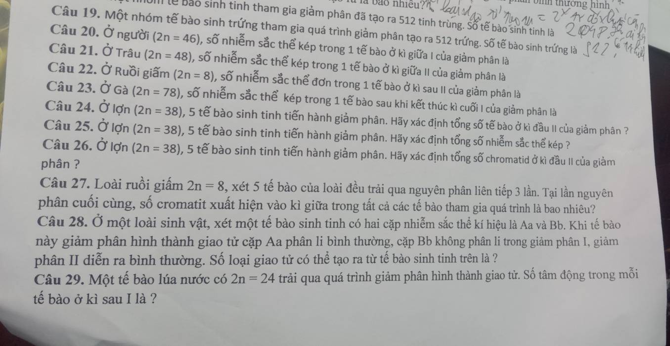 là bảo nhiều?
n oih thường hình  
lễ bào sinh tinh tham gia giảm phân đã tạo ra 512 tinh trùng. Số tế bào sinh tinh là
Câu 19. Một nhóm tế bào sinh trứng tham gia quá trình giảm phân tạo ra 512 trứng. Số tế bào sinh trứng là
Câu 20. Ở người (2n=46) , số nhiễm sắc thể kép trong 1 tế bào ở kì giữa I của giảm phân là
Câu 21. Ở Trâu (2n=48) , số nhiễm sắc thể kép trong 1 tế bào ở kì giữa II của giảm phân là
Câu 22. Ở Ruồi giấm (2n=8) , số nhiễm sắc thể đơn trong 1 tế bào ở kì sau II của giảm phân là
Câu 23. Ở Gà (2n=78) , số nhiễm sắc thể kép trong 1 tế bào sau khi kết thúc kì cuối I của giảm phân là
Câu 24. Ở lợn (2n=38) , 5 tế bào sinh tinh tiến hành giảm phân. Hãy xác định tổng số tế bào ở kì đầu II của giảm phân ?
Câu 25. Ở lợn (2n=38) 1, 5 tế bào sinh tinh tiến hành giảm phân. Hãy xác định tổng số nhiễm sắc thể kép ?
Câu 26. Ở lợn (2n=38) 0, 5 tế bào sinh tinh tiến hành giảm phân. Hãy xác định tổng số chromatid ở kì đầu II của giàm
phân ?
Câu 27. Loài ruồi giấm 2n=8 , xét 5 tế bào của loài đều trải qua nguyên phân liên tiếp 3 lần. Tại lần nguyên
phân cuối cùng, số cromatit xuất hiện vào kì giữa trong tất cả các tế bào tham gia quá trình là bao nhiêu?
Câu 28. Ở một loài sinh vật, xét một tế bào sinh tinh có hai cặp nhiễm sắc thể kí hiệu là Aa và Bb. Khi tế bào
này giảm phân hình thành giao tử cặp Aa phân li bình thường, cặp Bb không phân li trong giảm phân I, giảm
phân II diễn ra bình thường. Số loại giao tử có thể tạo ra từ tế bào sinh tinh trên là ?
Câu 29. Một tế bào lúa nước có 2n=24 trải qua quá trình giảm phân hình thành giao tử. Số tâm động trong mỗi
tế bào ở kì sau I là ?