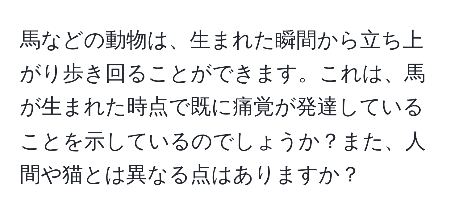 馬などの動物は、生まれた瞬間から立ち上がり歩き回ることができます。これは、馬が生まれた時点で既に痛覚が発達していることを示しているのでしょうか？また、人間や猫とは異なる点はありますか？