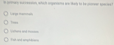 In primary succession, which organisms are likely to be pioneer species?
Large mammals
Trees
Lichens and mosses
Fish and amphibians