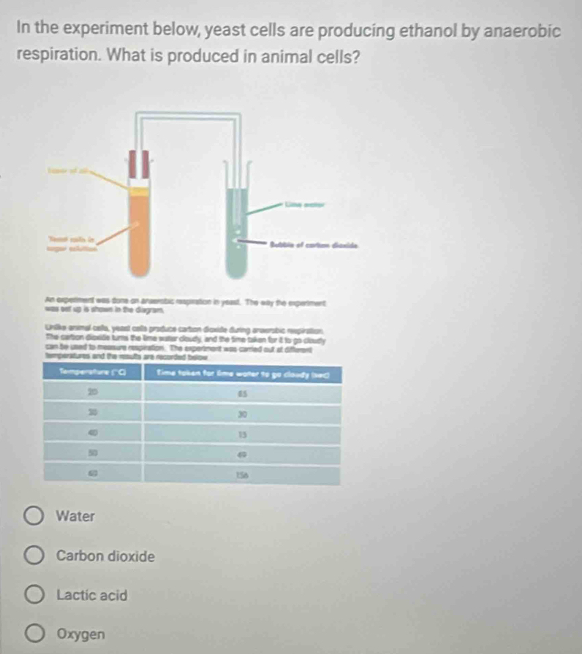 In the experiment below, yeast cells are producing ethanol by anaerobic
respiration. What is produced in animal cells?
An experment was done an arserabic rexpration in yeast. The eay the expertment
was set up is shown in the diegram.
Urako enmal csla, yeasl aste produco caton daside duing areerabie repiration
The cation disside turns the time satter cloudy, and the time taken for it to go cloudly
can be used to measure respiration. The expertment was carried out at different
Water
Carbon dioxide
Lactic acid
Oxygen