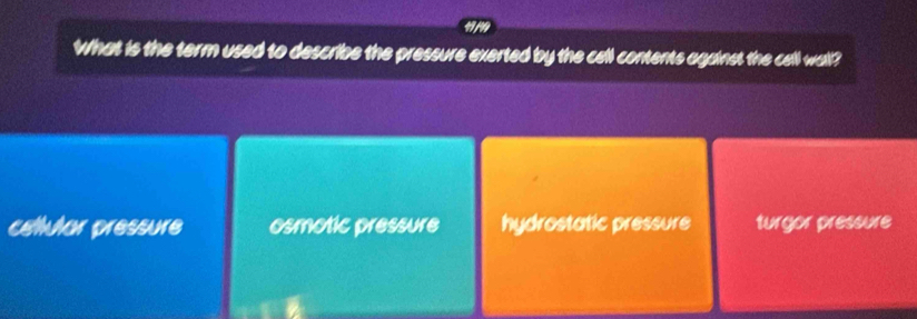 What is the term used to describe the pressure exerted by the cell contents against the cell wall?
cettutar pressure osmotic pressure hydrostatic pressure turgor pressure