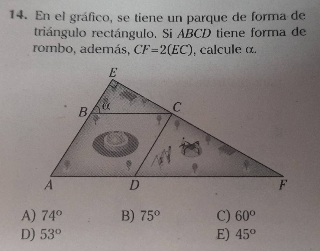 En el gráfico, se tiene un parque de forma de
triángulo rectángulo. Si ABCD tiene forma de
rombo, además, CF=2(EC) , calcule α.
A) 74° B) 75° C) 60°
D) 53° E) 45°