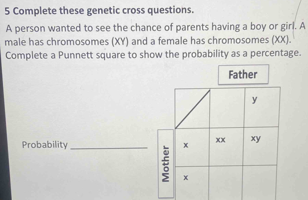 Complete these genetic cross questions. 
A person wanted to see the chance of parents having a boy or girl. A 
male has chromosomes (XY) and a female has chromosomes (XX). 
Complete a Punnett square to show the probability as a percentage. 
Father 
Probability_