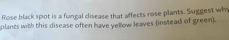 Rose black spot is a fungal disease that affects rose plants. Suggest why 
plants with this disease often have yellow leaves (instead of green).