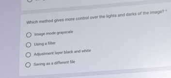 Which method gives more control over the lights and darks of the image? "
Image mode grayscale
Using a filter
Adjustment layer black and white
Saving as a different file