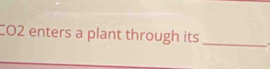 CO2 enters a plant through its_ 
.