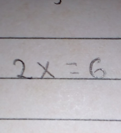 2x=6