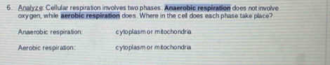 Analyze: Cellular respiration involves two phases. Anaerobic respiration does not involve
oxygen, while aerobic respiration does. Where in the cell does each phase take place?
Anaerobic respiration: cytoplasm or mitochondria
Aerobic respiration: cyloplasm or mitochondria