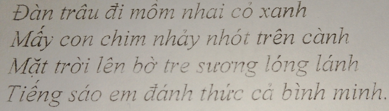 Đàn trâu đi môm nhai có xanh 
Mấy con chim nhảy nhót trên cành 
Mặt trời lên bờ tre sương lóng lánh 
Tiếng sáo em đánh thức cả bình minh.